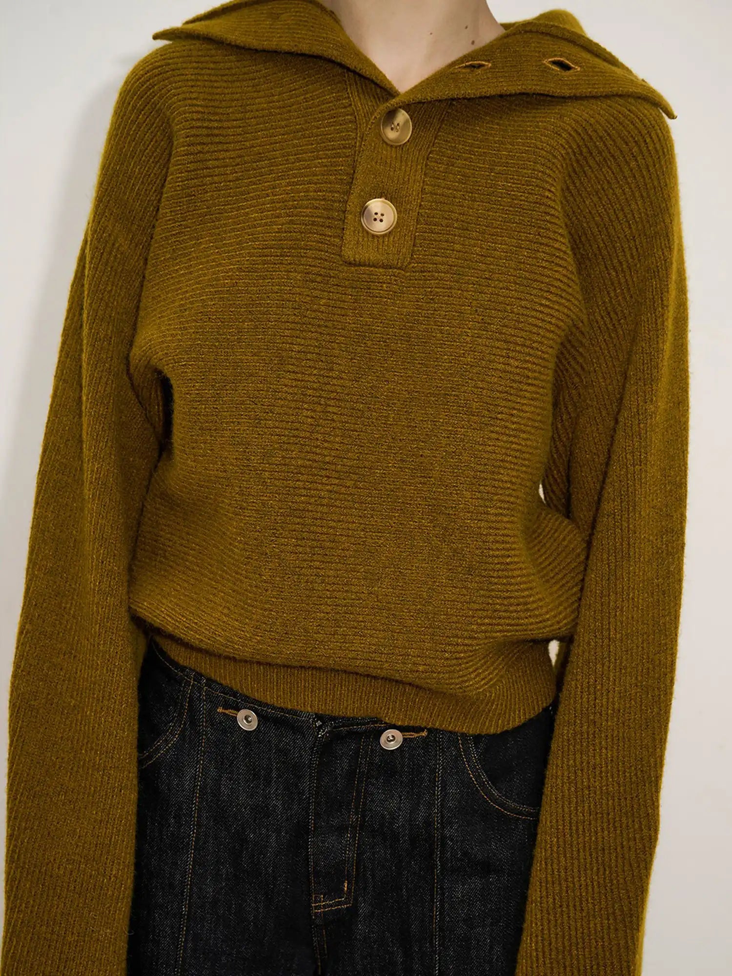 Button Front Oversized Collared Sweater