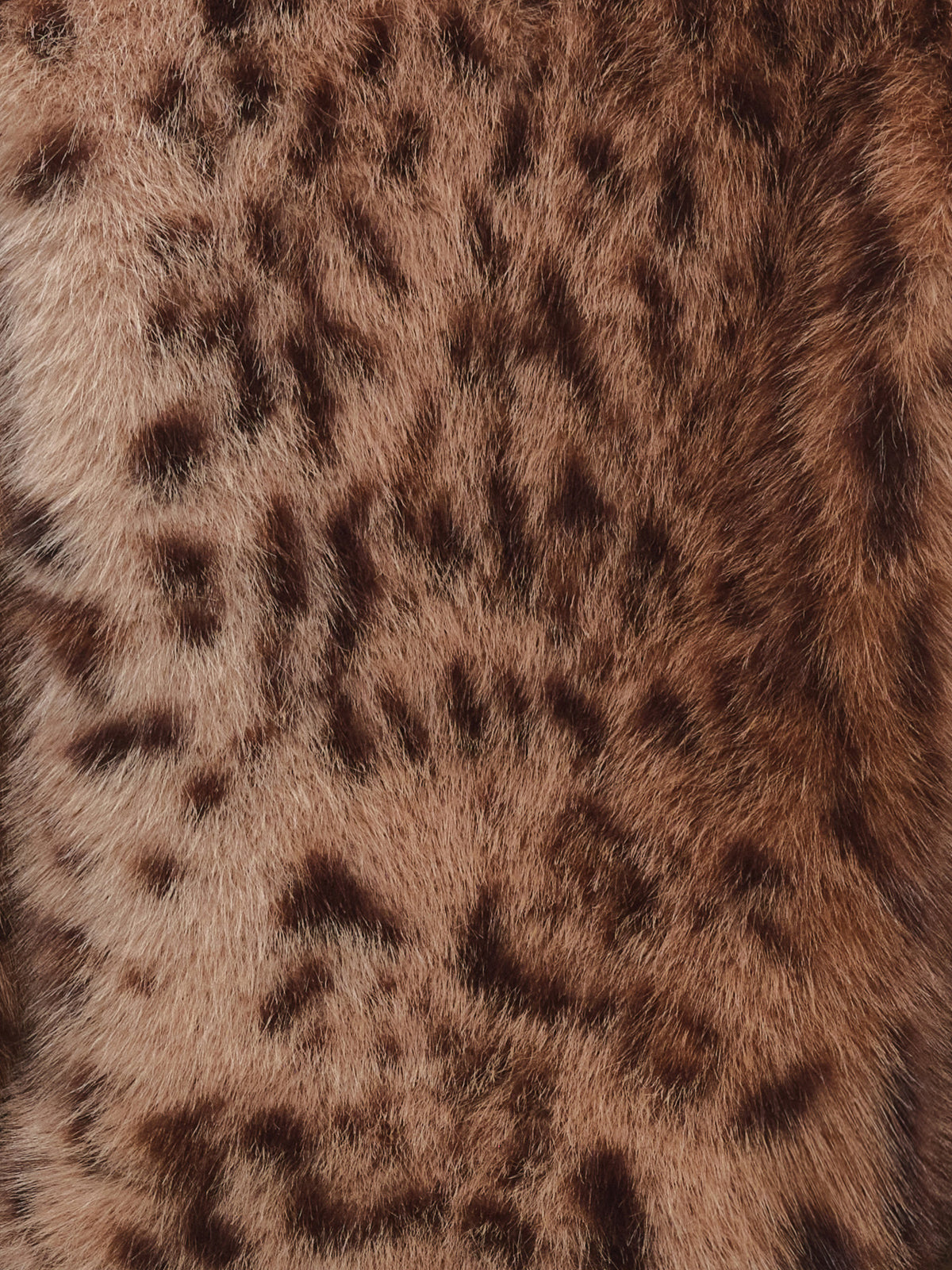 1Jinn Studio High Collar Leopard Faux Fur Cropped Jacket | Canton Collective
